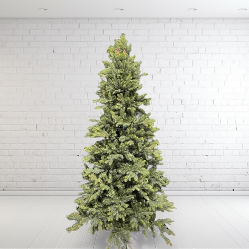 5 Foot Norway Spruce Christmas Tree