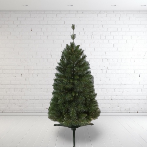5 Foot Kingswood Fir Christmas Tree