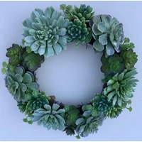 Succulent Christmas Wreath