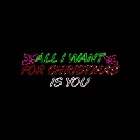 ALL I WANT FOR CHRISTMAS IS YOU Rope Light Motif - Preorder for 2025