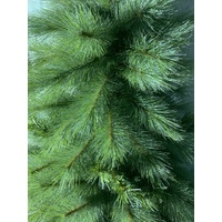 8 Foot Appalachian Pine Christmas Tree