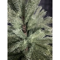 5 Foot Bavarian Fir Christmas Tree