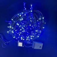 20m Blue and White LED Strings