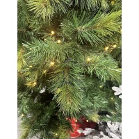 10 Foot Lit Oxford Spruce Christmas Tree - 900 Bulbs