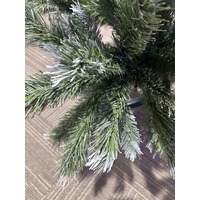 8 Foot Tiffany Fir Christmas Tree