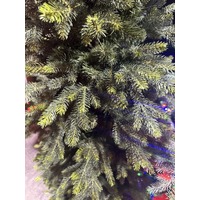 5 Foot Norway Spruce Christmas Tree