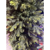 6 Foot Norway Spruce Christmas Tree