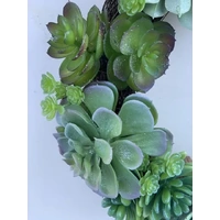 Succulent Christmas Wreath