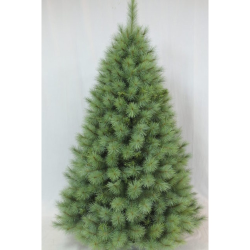 8 Foot Appalachian Pine Christmas Tree