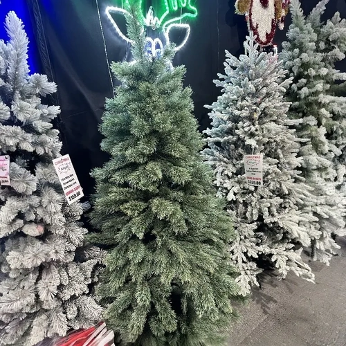 5 Foot Blue Appalachian Pine Christmas Tree