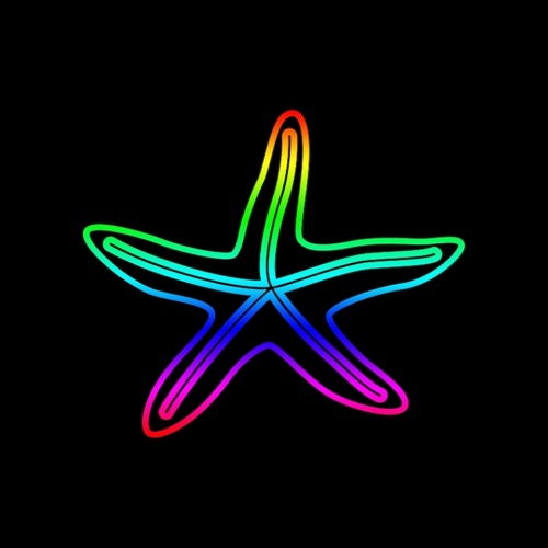 RGB Starfish Rope Light Motif - PREORDER