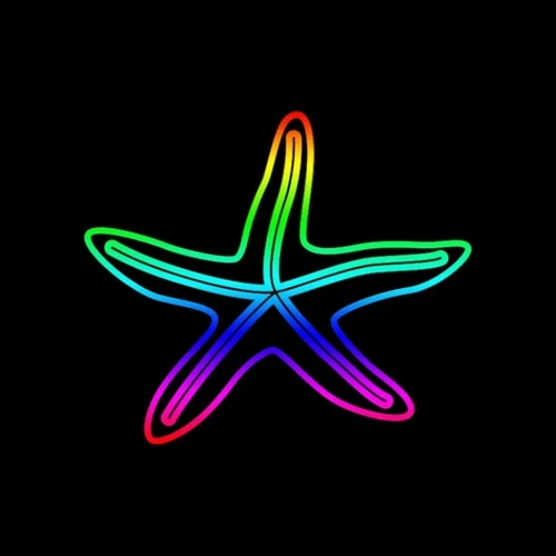 RGB Starfish Rope Light Motif 