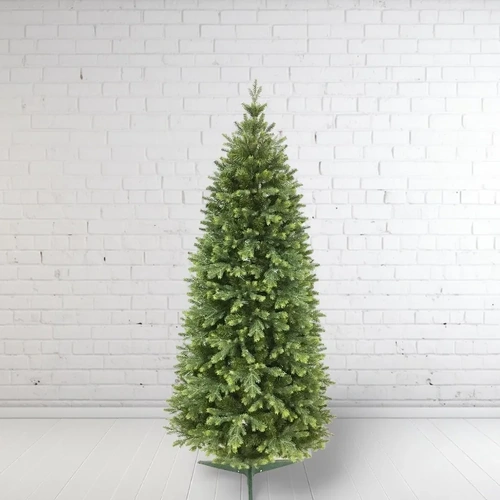 6 Foot Slender Blackford Fir Christmas Tree