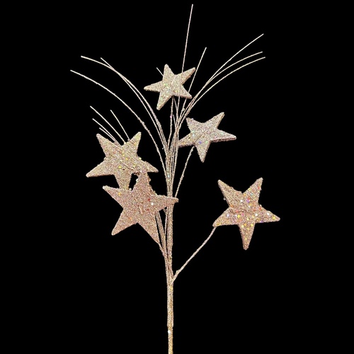 Rose Gold Star Stem - 70cm