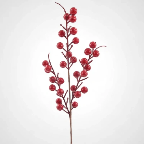 Red Berry Stem