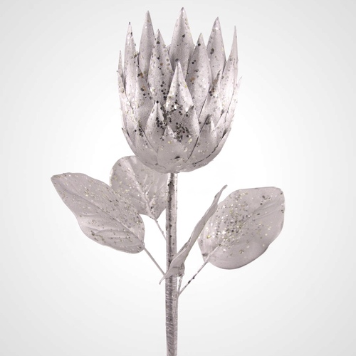 Silver Protea 69cm