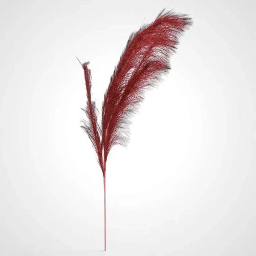 Red Pampas Grass Spray 110cm